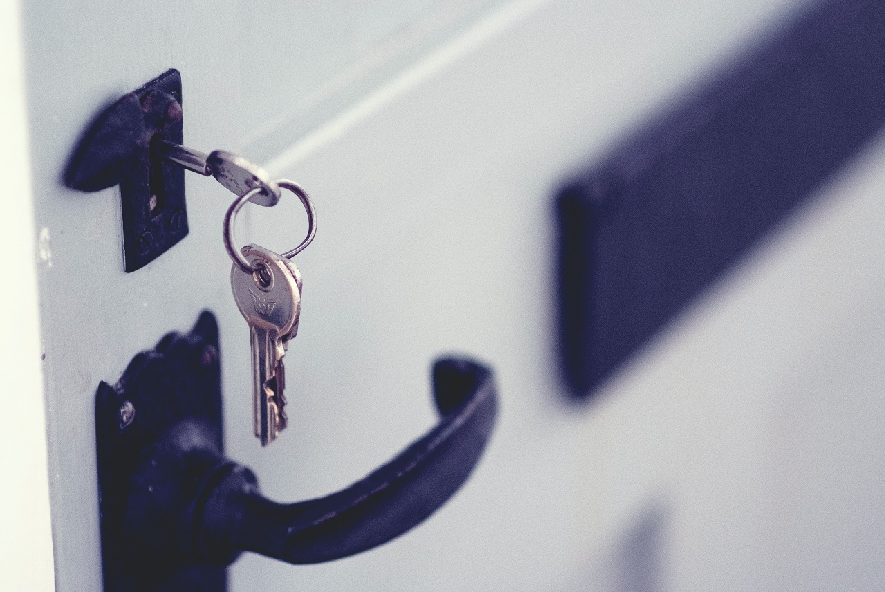 Wkładki drzwiowe – gwarancja bezpieczeństwa wszystkich domowników