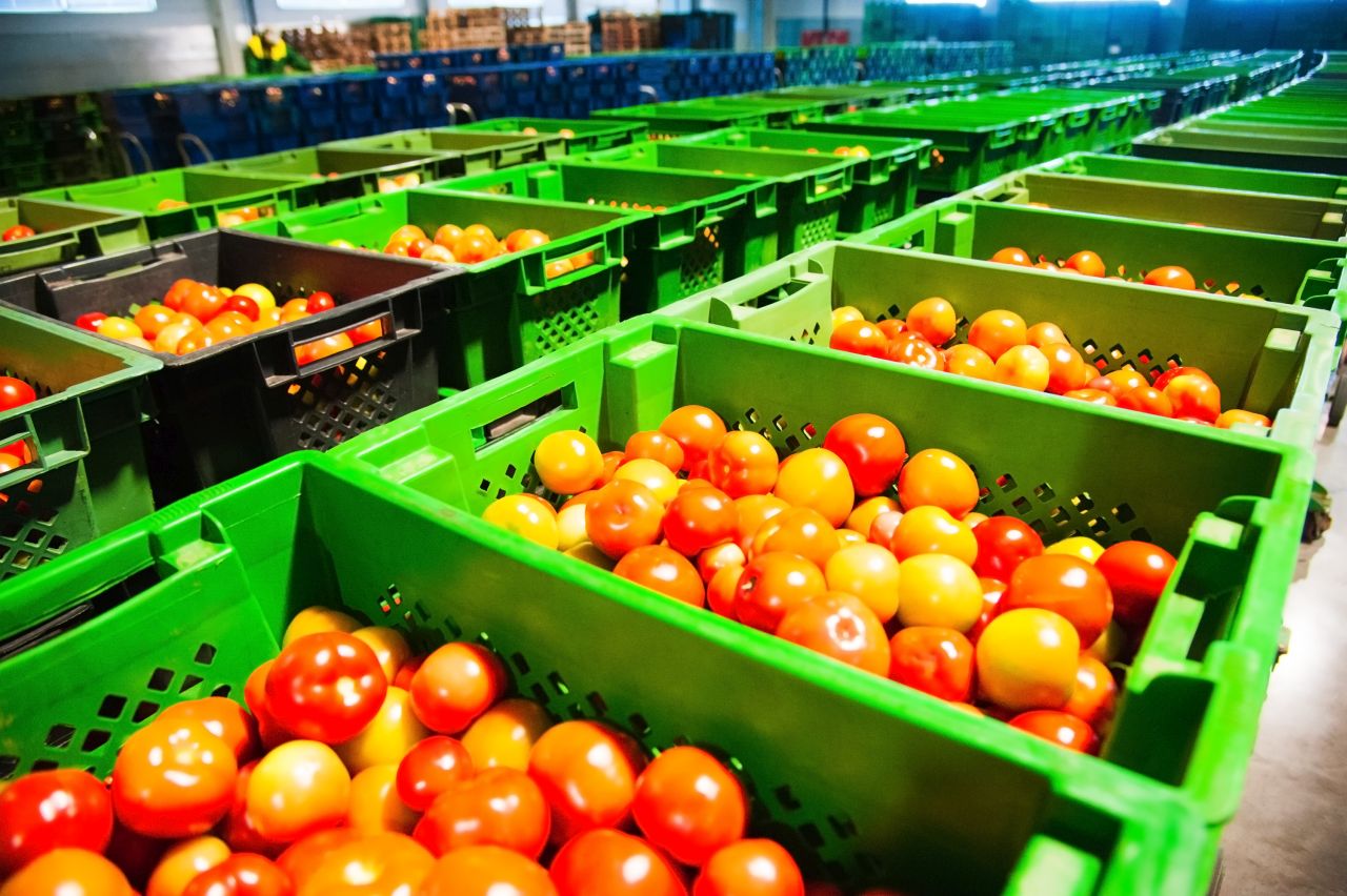 Gdzie kupować owoce i warzywa w dużych ilościach?